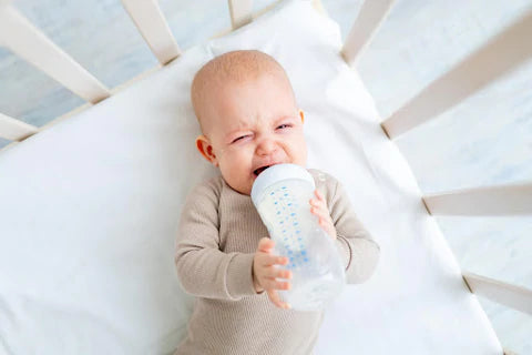 HiPP Dutch Goat Baby Formula: Parent's Guide 2025