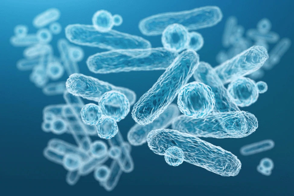 Best Baby Formula With Prebiotics & Probiotics: The Ultimate 2025 Guide