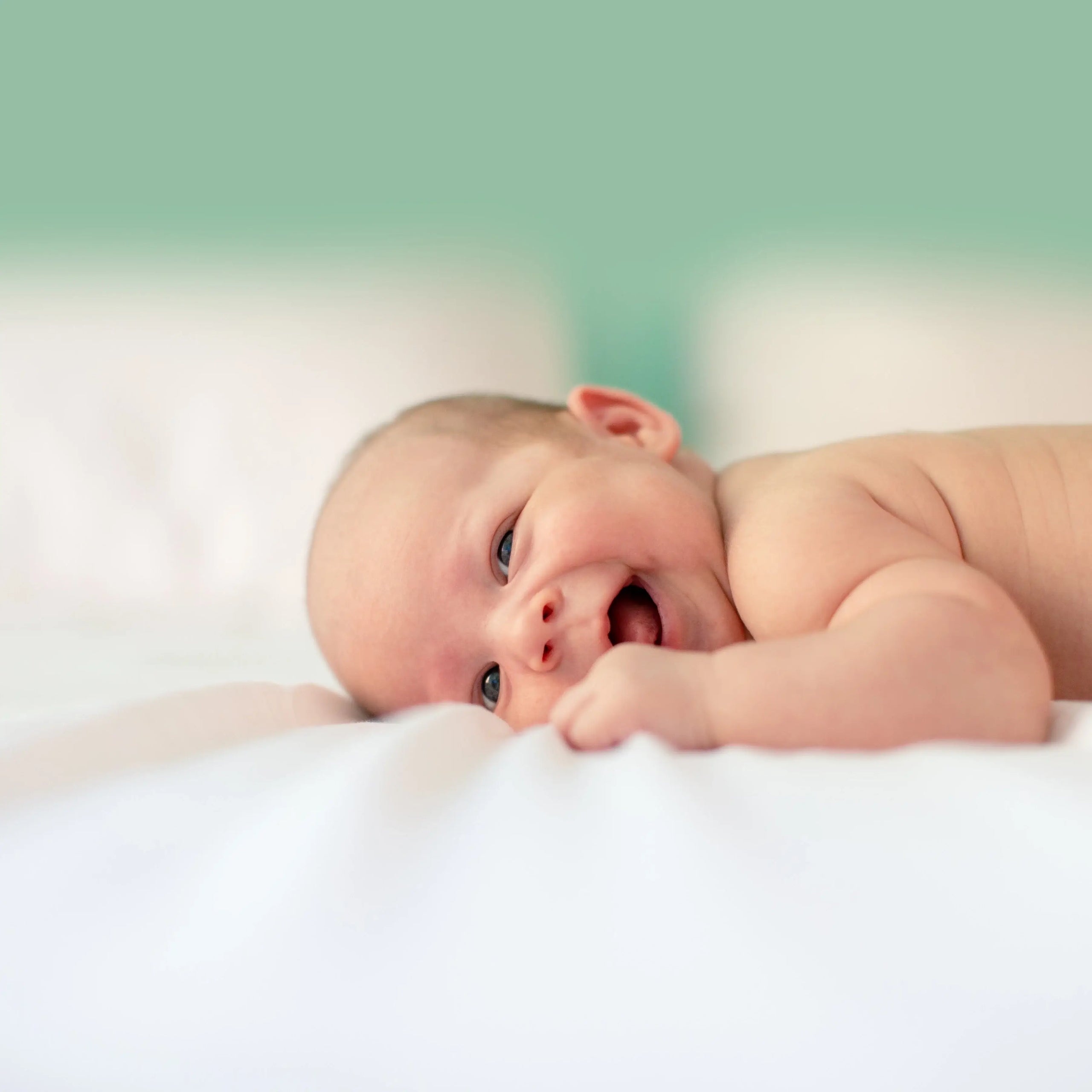 European baby formulas